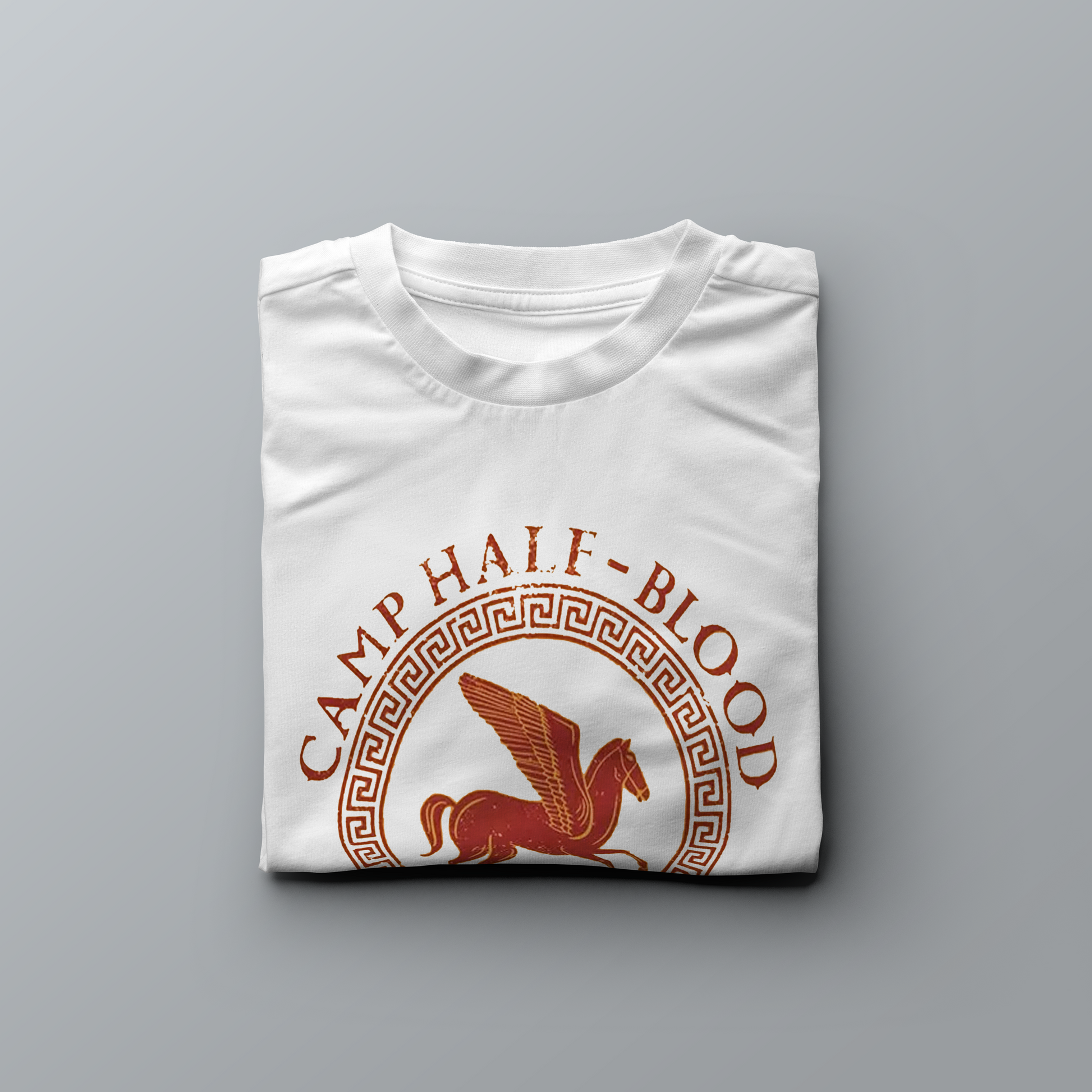 Camiseta CHB - Acampamento Meio-Sangue Estampa Oficial Disney Serigraf –  Hermes Store - Loja Meio Sangue