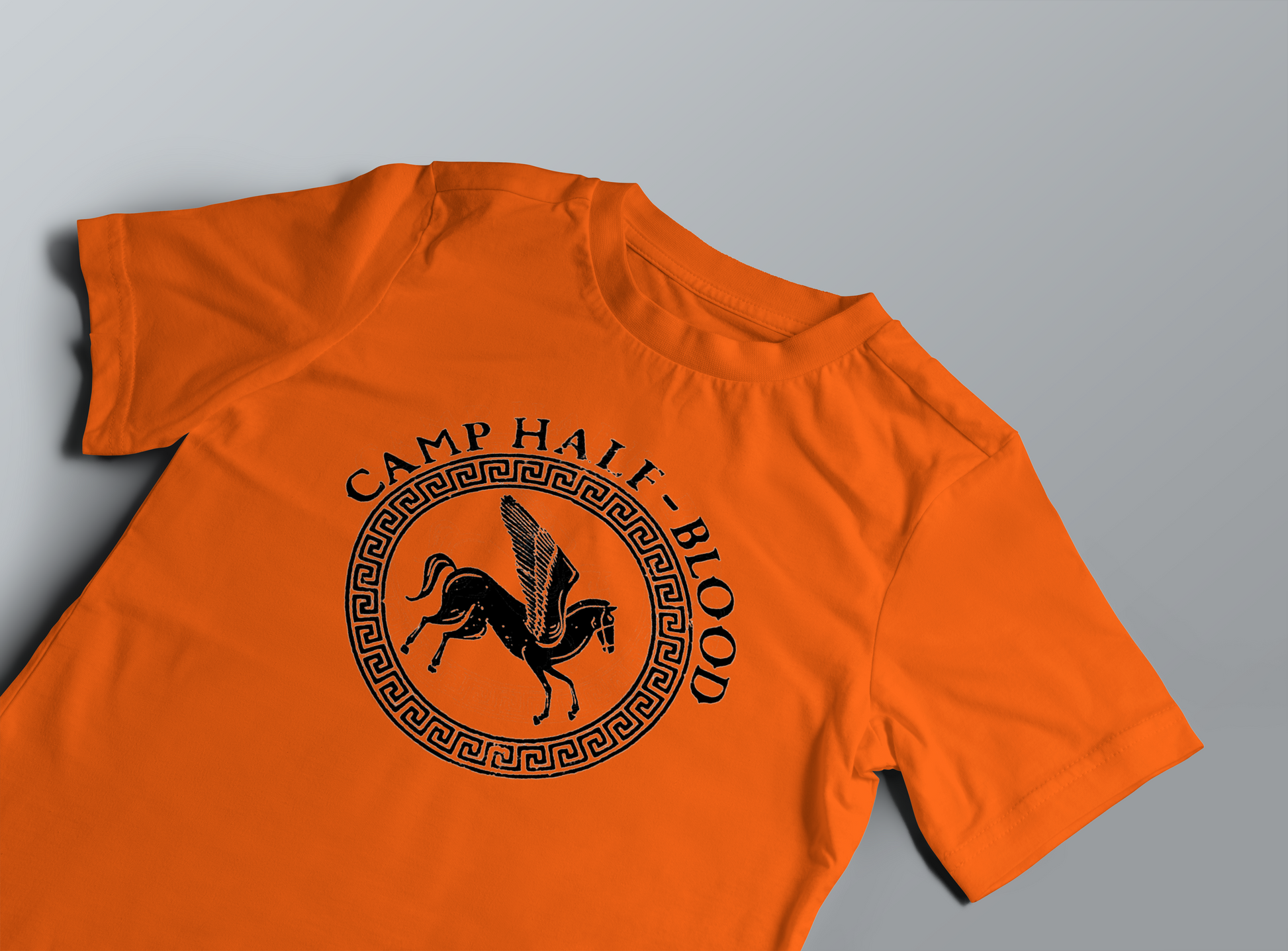 Camiseta Camp Half-blood